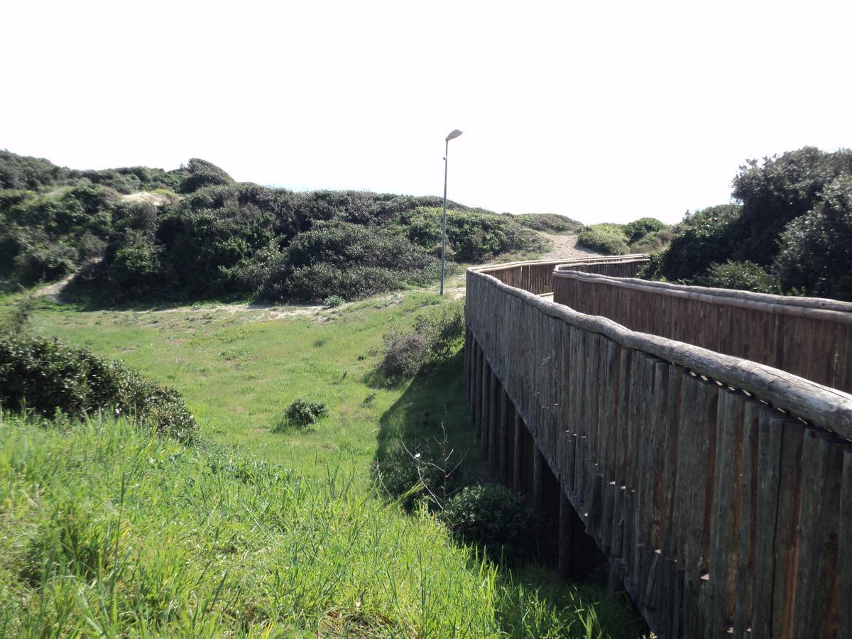 Villino Dei Coralli Lido di Ostia Eksteriør billede