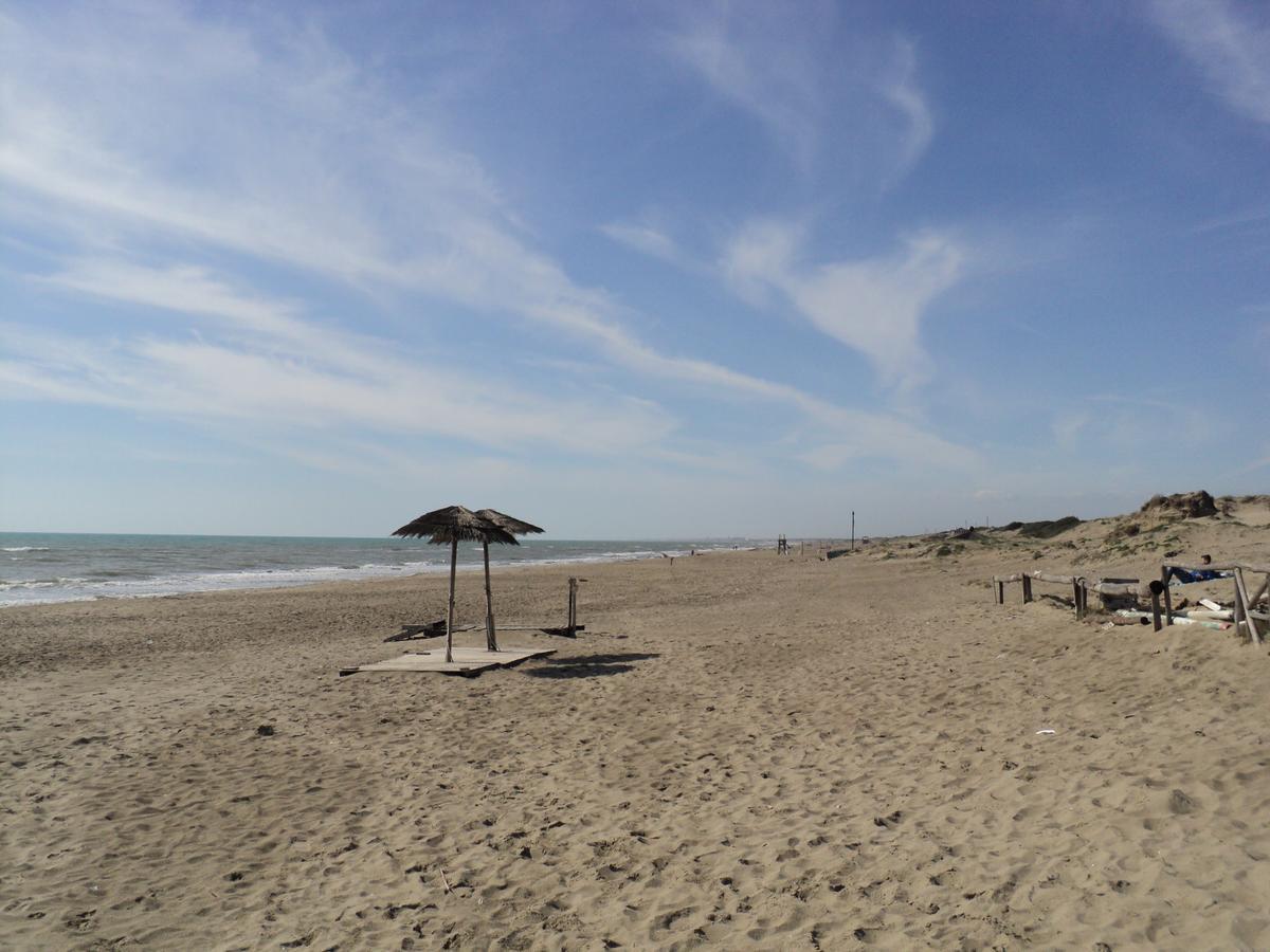 Villino Dei Coralli Lido di Ostia Eksteriør billede