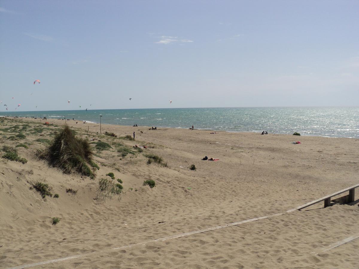 Villino Dei Coralli Lido di Ostia Eksteriør billede