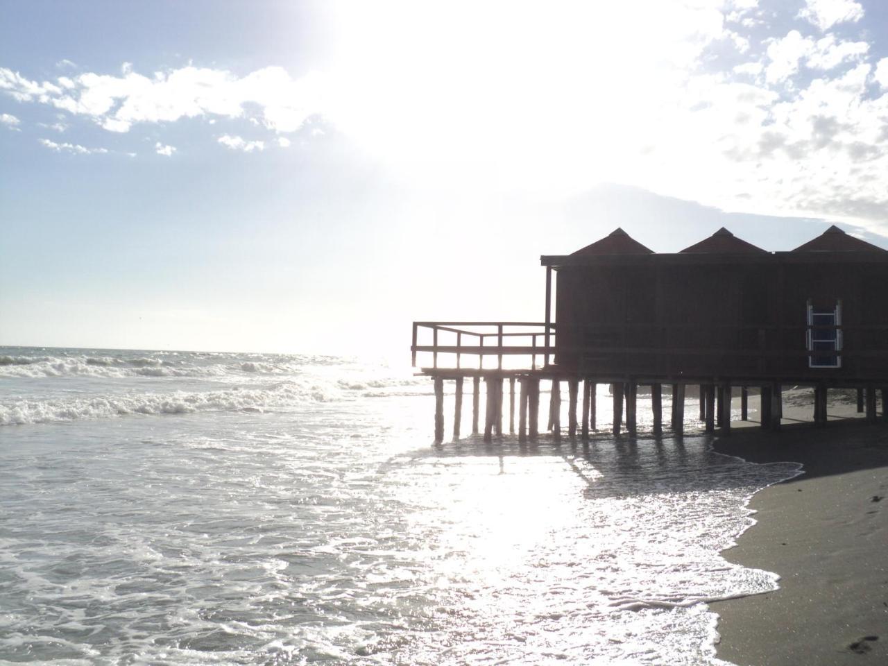 Villino Dei Coralli Lido di Ostia Eksteriør billede